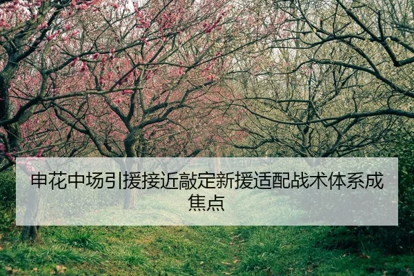 申花中场引援接近敲定新援适配战术体系成焦点