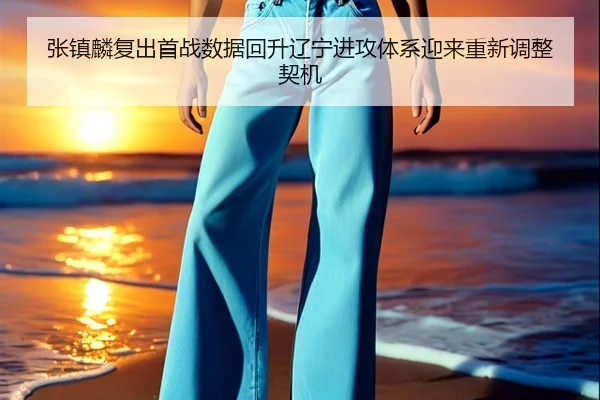 张镇麟复出首战数据回升辽宁进攻体系迎来重新调整契机
